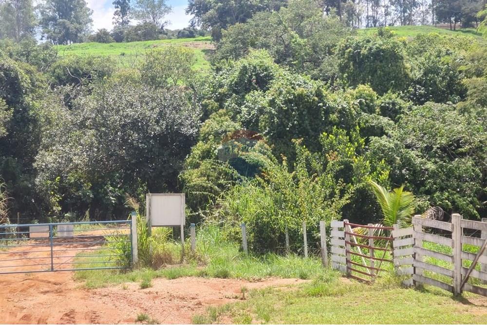 Chácara / Sítio / Fazenda - Venda - Araxá , Minas Gerais - Antônio Edson de Oliveira Júnior foto da Porteira.jpg - 870431004-104