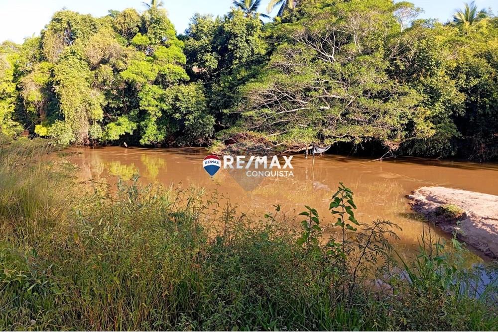 Chácara / Sítio / Fazenda - Venda - Pocrane , Minas Gerais - WhatsApp Image 2025-04-08 at 09.40.34.jpeg - 870451001-124