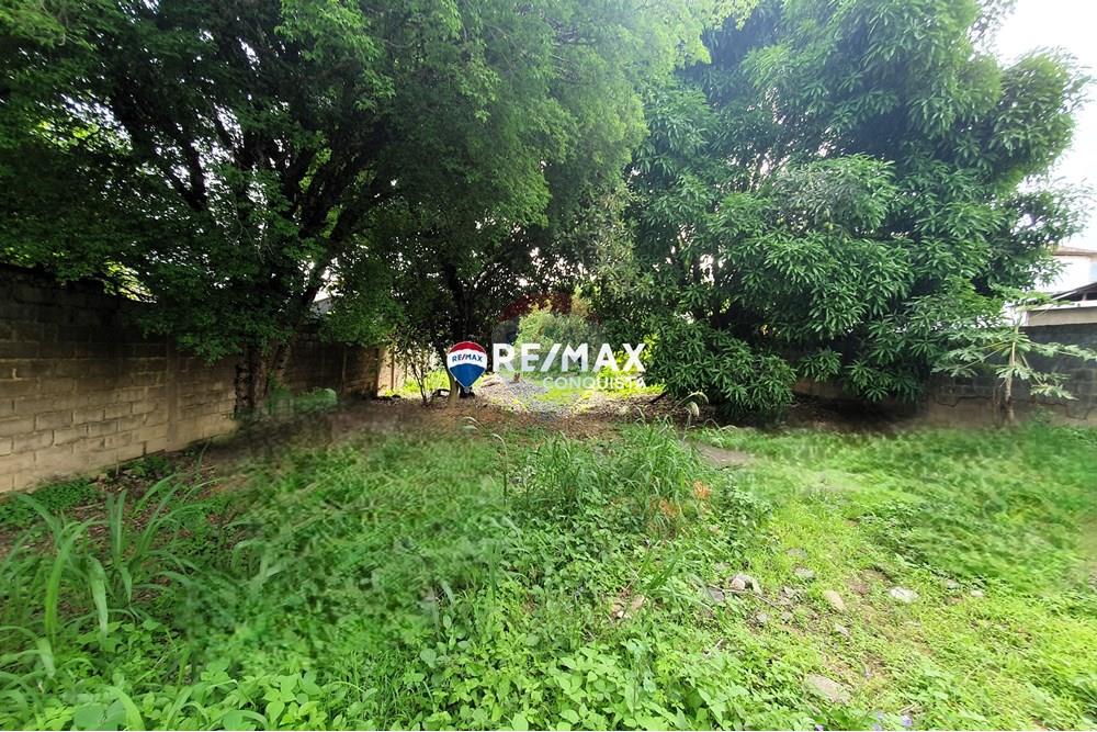 Terreno - Venda - Ipanema , Minas Gerais - 4_20241108_145935_watermark_sáb._09112024_094646.jpg - 870451001-107