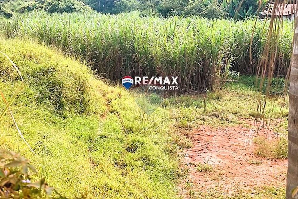 Chácara / Sítio / Fazenda - Venda - Ipanema , Minas Gerais - 8_IMG_20240515_091929_watermark_dom._23062024_100710.jpg - 870451001-121