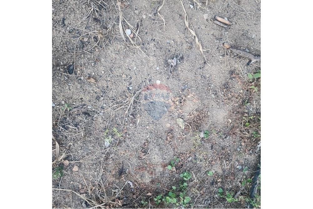 Terreno - Venda - Matozinhos , Minas Gerais - 9e41cecd-b878-412c-98a8-3505fb57a1b9.jpeg - 870241024-58