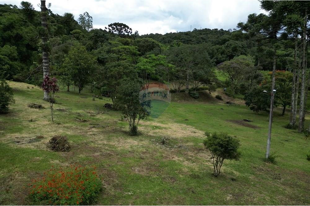 Chácara / Sítio / Fazenda - Venda - Poços de Caldas , Minas Gerais - WhatsApp Image 2025-07-23 at 18.35.07 (2).jpeg - 870361041-117