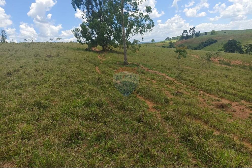 Chácara / Sítio / Fazenda - Venda - Cruzília , Minas Gerais - WhatsApp Image 2025-04-17 at 14.21.20 (1).jpeg - 870361041-110