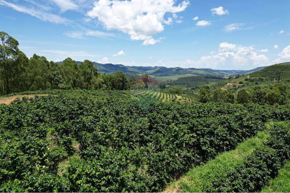 Chácara / Sítio / Fazenda - Venda - São Sebastião da Grama , São Paulo - DJI_0745.JPG - 870361041-98