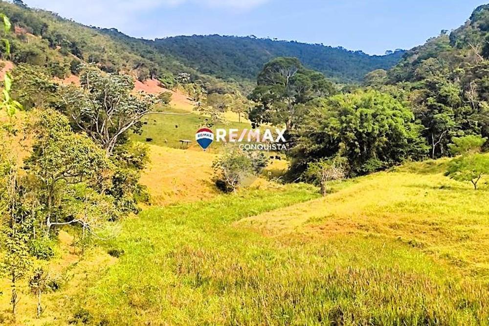Chácara / Sítio / Fazenda - Venda - Ipanema , Minas Gerais - 4_IMG_20240515_093352_watermark_dom._23062024_100621.jpg - 870451001-122