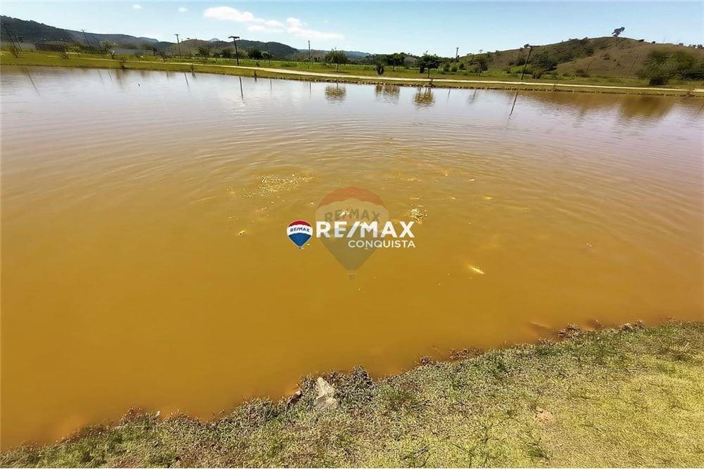 Terreno - Venda - Ipanema , Minas Gerais - 13 - 870451001-125