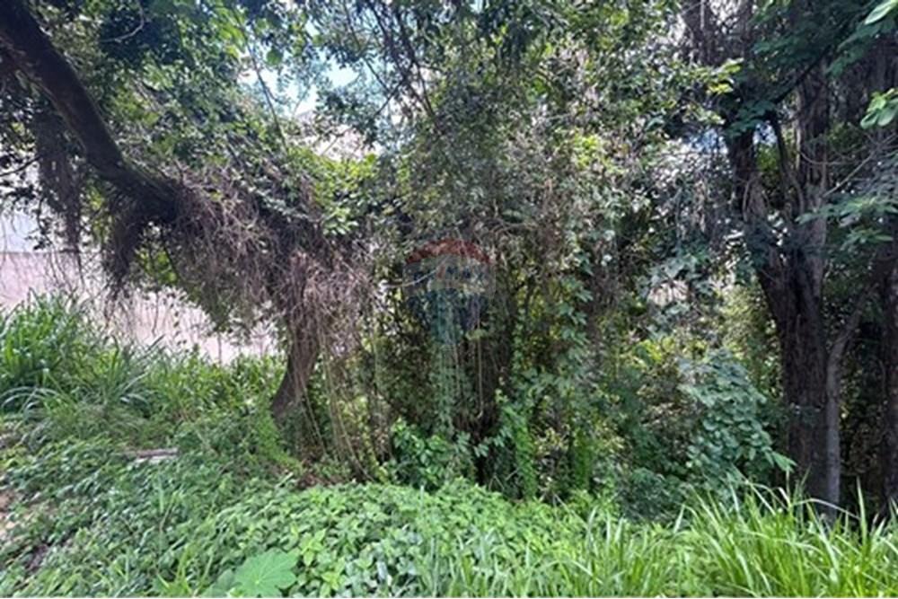 Terreno - Venda - Varginha , Minas Gerais - L_1ef0c45d-aa7e-4d35-88cc-d889d13a1c70.jpg - 870641024-11