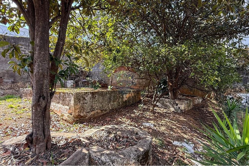 Terreno - Venda - Belo Horizonte , Minas Gerais - IMG_1799.jpg - 870351012-218