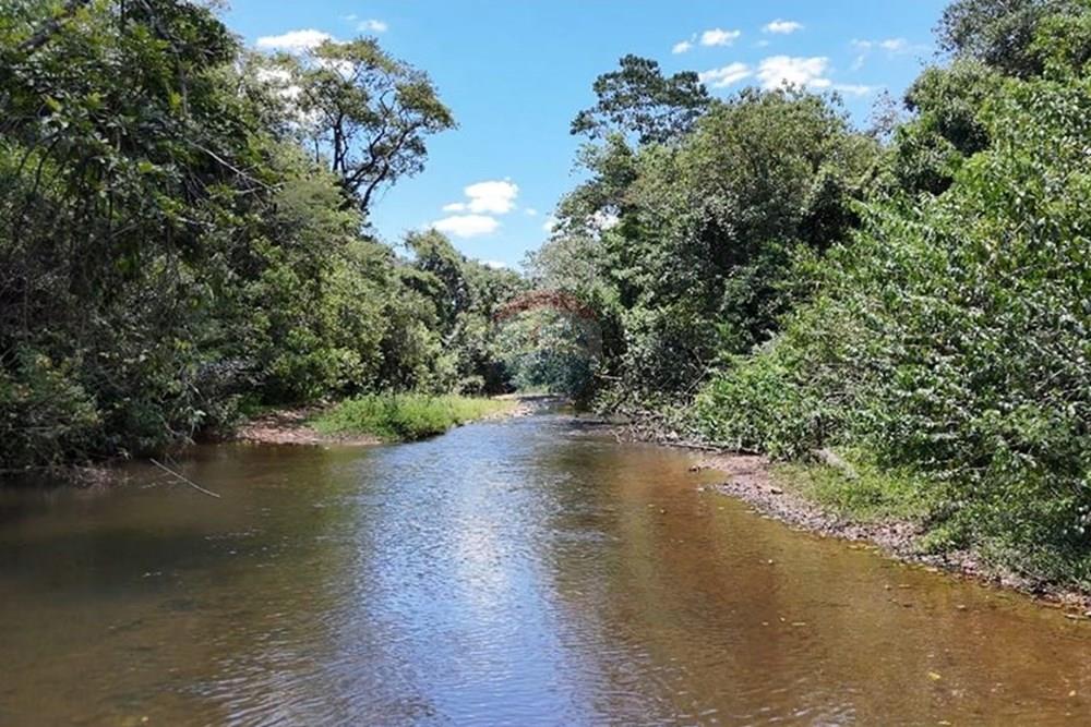 Chácara / Sítio / Fazenda - Venda - Delfinópolis , Minas Gerais - WhatsApp Image 2025-05-01 at 18.11.34.jpeg - 870721003-2