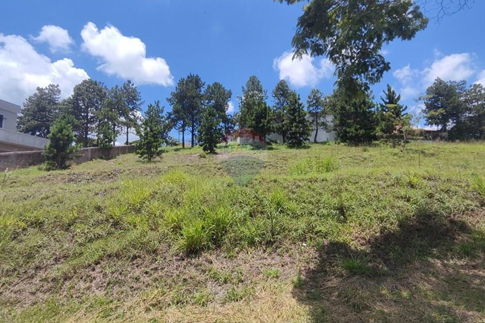 Terreno - Venda - Nova Lima , Minas Gerais - IMG_20250111_115005.jpg - 870421014-287