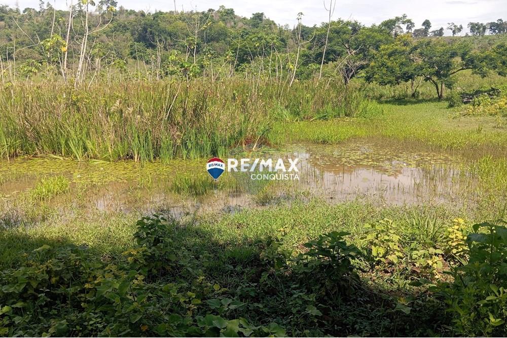 Chácara / Sítio / Fazenda - Venda - Pocrane , Minas Gerais - 0_IMG_20241203_091121_watermark_sex._13122024_135228.jpg - 870451001-114