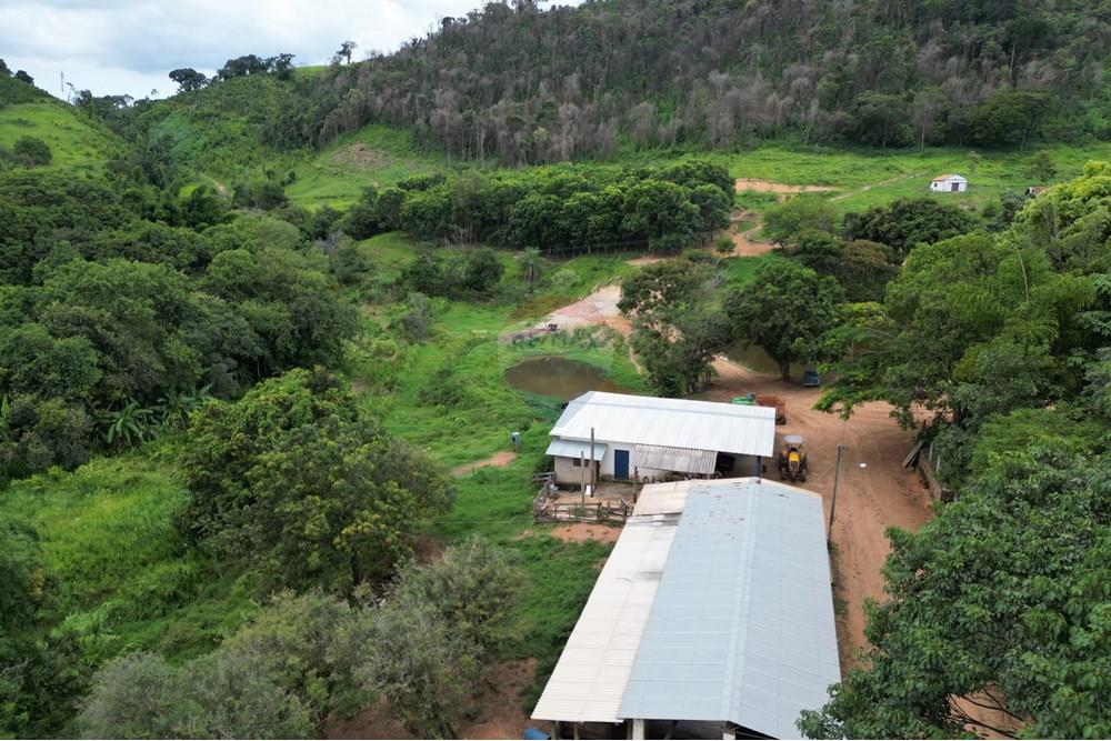 Fazenda - Venda - Caconde , São Paulo - DJI_0071.JPG - 870361041-102