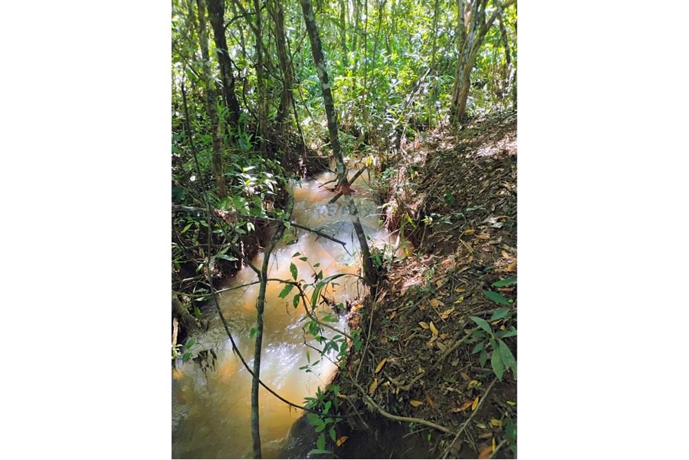 Chácara / Sítio / Fazenda - Venda - Perdizes , Minas Gerais - 1000372450.jpg - 870431028-37