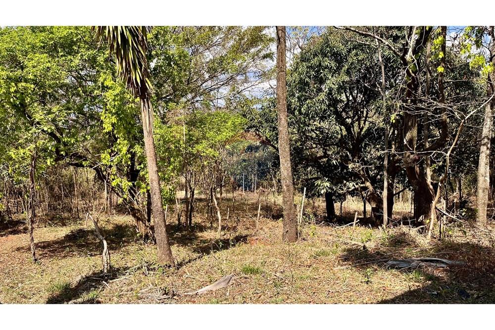 Terreno - Venda - Nova Lima , Minas Gerais - WhatsApp Image 2025-10-23 at 11.17.26.jpeg - 870351032-22