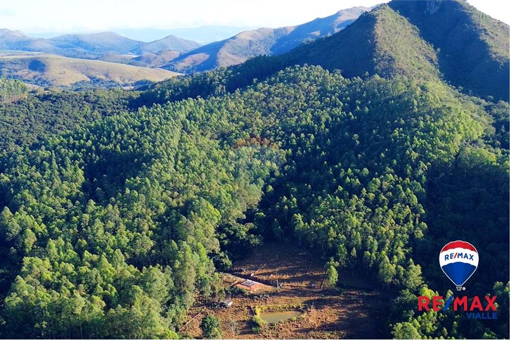 Chácara / Sítio / Fazenda - Venda - São Roque de Minas , Minas Gerais - 0ad0b531-ad8b-4290-b9ed-ed6765be1694.jpg - 870731003-7