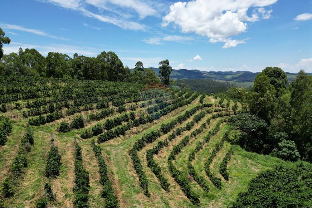 Chácara / Sítio / Fazenda - Venda - São Sebastião da Grama , São Paulo - DJI_0737.JPG - 870361041-98