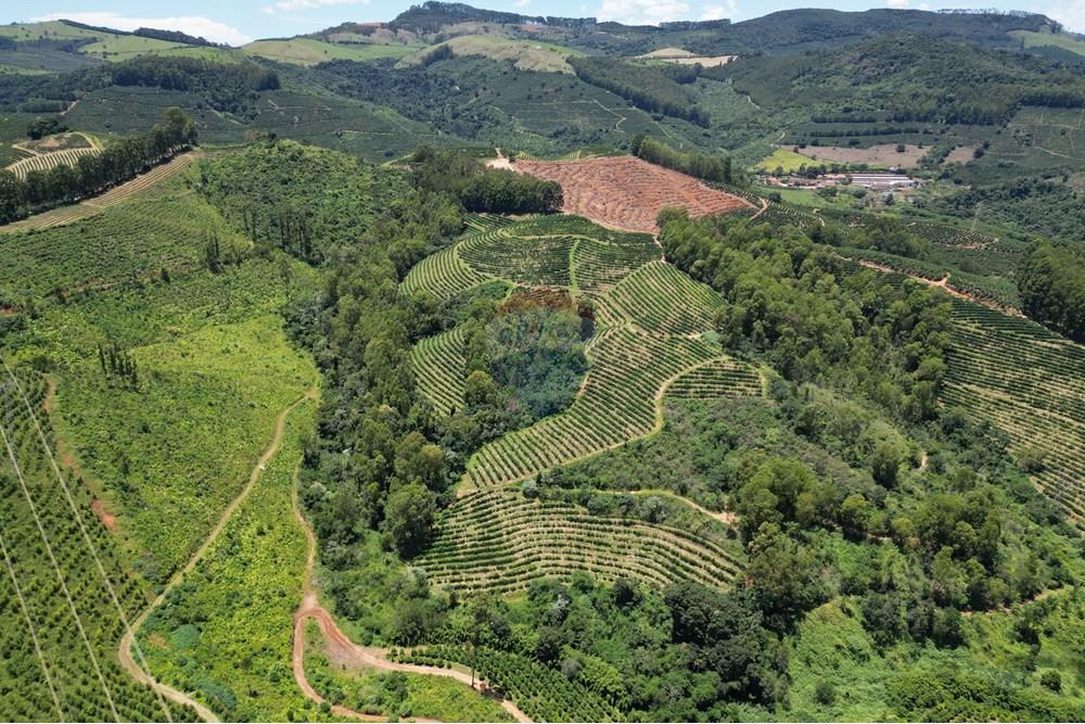 Chácara / Sítio / Fazenda - Venda - São Sebastião da Grama , São Paulo - DJI_0717.JPG - 870361041-98