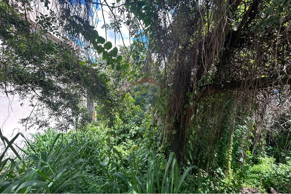 Terreno - Venda - Varginha , Minas Gerais - WhatsApp Image 2025-01-06 at 08.56.59.jpeg - 870641024-11