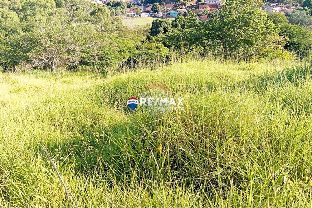 Chácara / Sítio / Fazenda - Venda - Pocrane , Minas Gerais - WhatsApp Image 2025-04-08 at 09.40.32(1).jpeg - 870451001-124