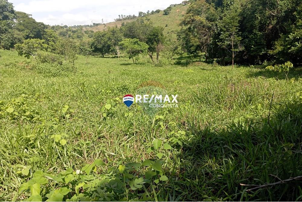 Chácara / Sítio / Fazenda - Venda - Pocrane , Minas Gerais - 7_IMG_20241203_085943_watermark_sex._13122024_135420.jpg - 870451001-114