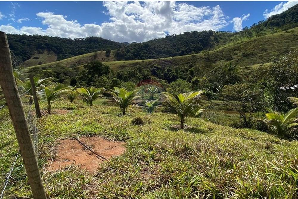 Terreno - Venda - Ipatinga , Minas Gerais - WhatsApp Image 2025-10-09 at 17.37.03 (3).jpeg - 870711007-44