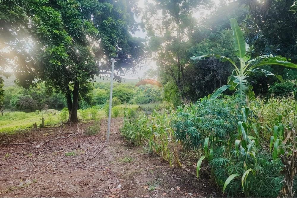 Terreno - Venda - Matozinhos , Minas Gerais - lote mtz01 (5).jpeg - 870241024-58