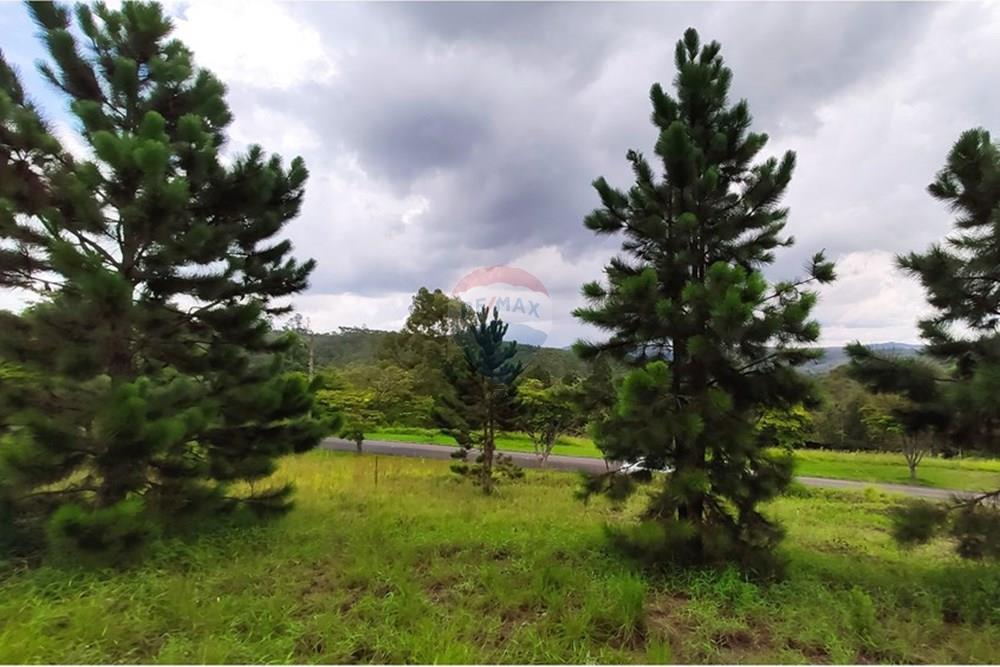 Terreno - Venda - Nova Lima , Minas Gerais - IMG_20250128_114941.jpg - 870421014-287