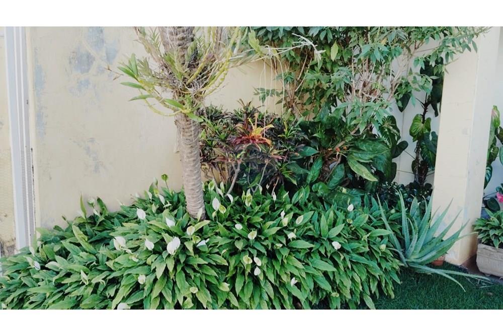 Casa - Venda - Sete Lagoas , Minas Gerais - entrada jardim.jpeg - 870241024-71