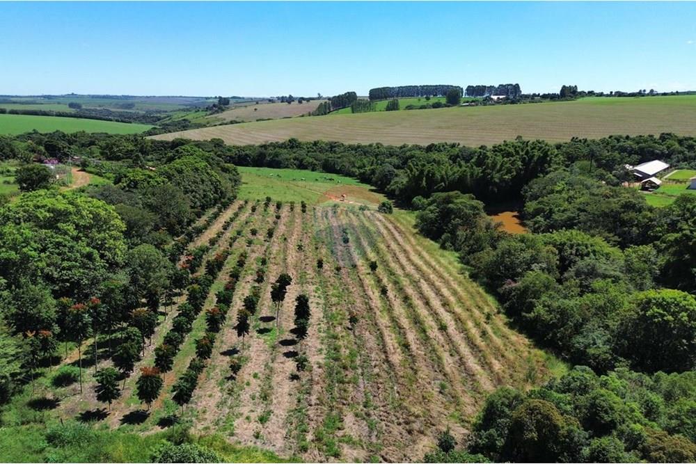 Chácara / Sítio / Fazenda - Venda - Araxá , Minas Gerais - IMG-20250415-WA0191.jpg - 870431045-48