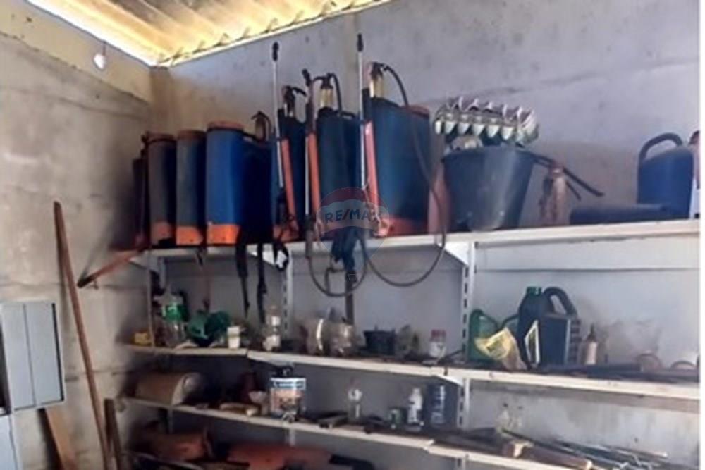 Chácara / Sítio / Fazenda - Venda - Piumhi , Minas Gerais - 20250816_124719.jpg - 870411101-9