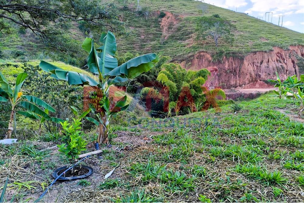Chácara / Sítio / Fazenda - Venda - Conceição de Ipanema , Minas Gerais - 1_image_1_watermark_seg._01092025_205222.jpg - 870451001-144