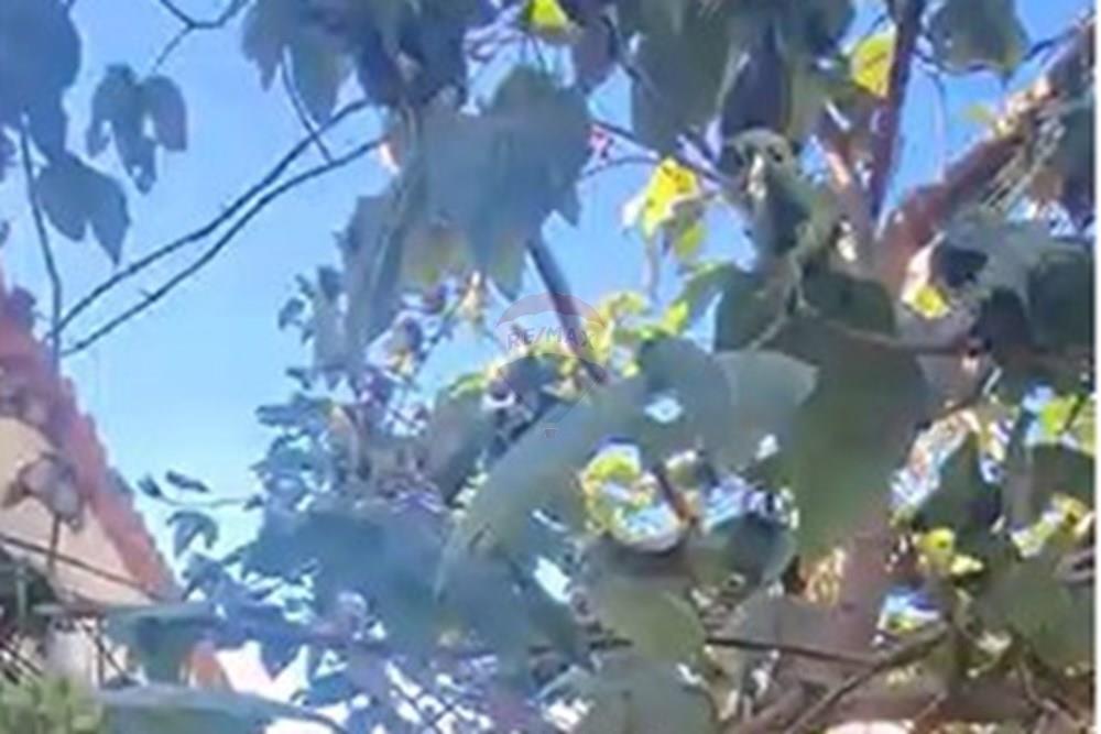 Terreno - Venda - Vespasiano , Minas Gerais - WhatsApp Image 2025-08-03 at 16.10.48.jpeg - 870411108-8