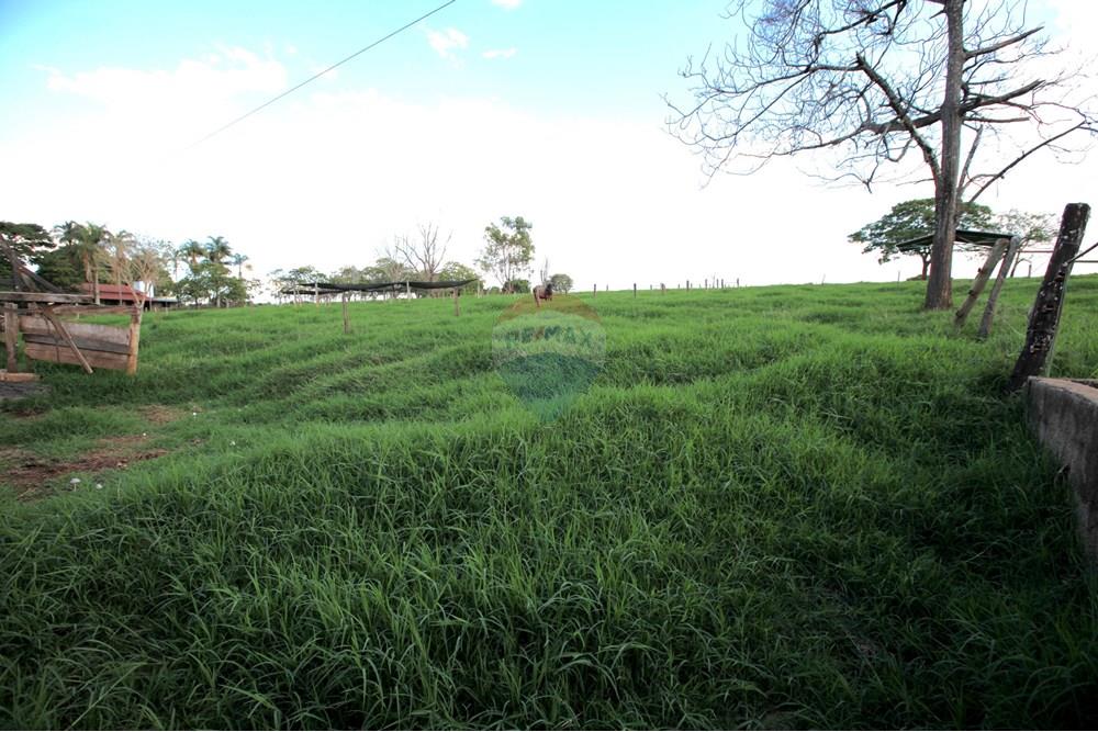 Chácara / Sítio / Fazenda - Venda - Araxá , Minas Gerais - IMG_2446.JPG - 870431039-25