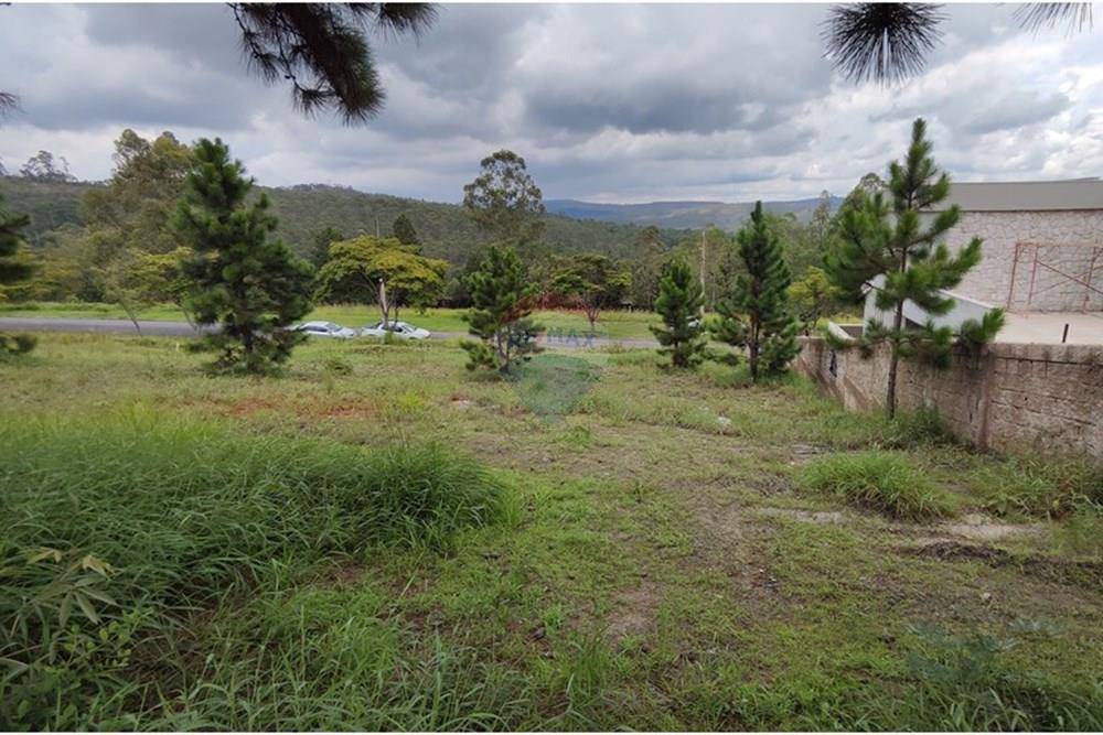 Terreno - Venda - Nova Lima , Minas Gerais - IMG_20250128_114750.jpg - 870421014-287