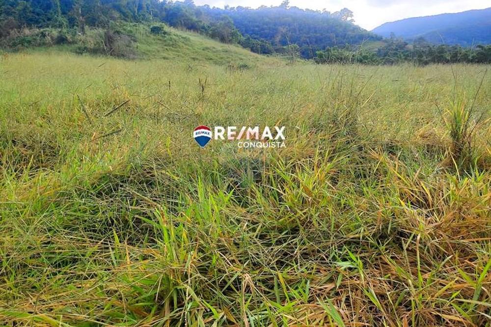 Chácara / Sítio / Fazenda - Venda - Ipanema , Minas Gerais - 5_IMG_20240515_071955_watermark_dom._23062024_100333.jpg - 870451001-121