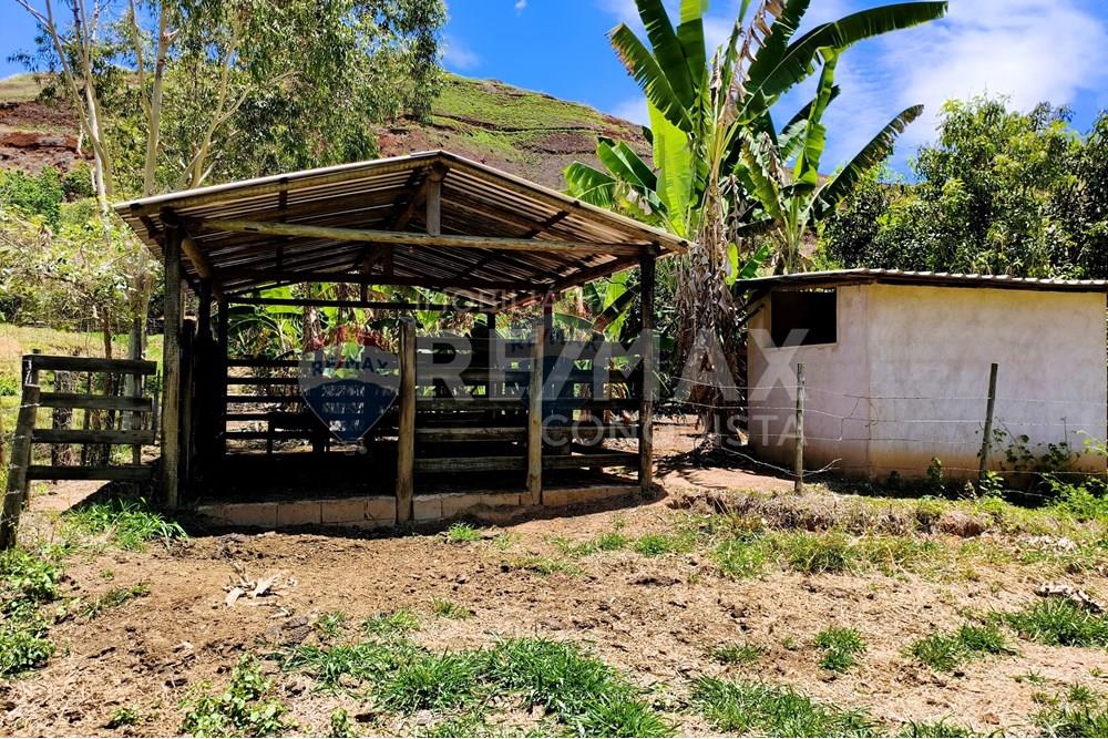 Chácara / Sítio / Fazenda - Venda - Ipanema , Minas Gerais - 9_image_9_watermark_qua._29102025_112137.jpg - 870451004-107