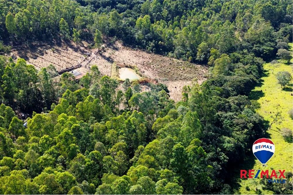 Chácara / Sítio / Fazenda - Venda - São Roque de Minas , Minas Gerais - 295a16ce-73e1-4077-86af-2443ff911f6d.jpg - 870731003-7