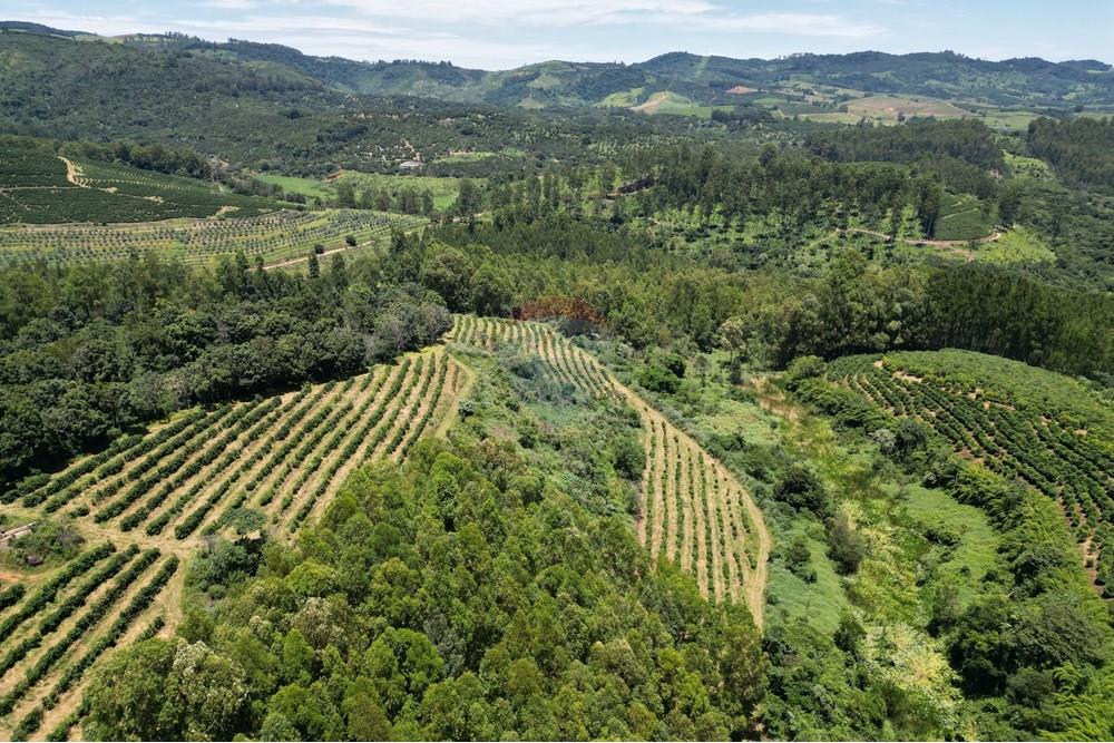 Chácara / Sítio / Fazenda - Venda - São Sebastião da Grama , São Paulo - DJI_0692.JPG - 870361041-98