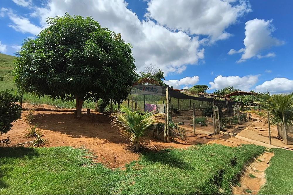 Chácara / Sítio / Fazenda - Venda - Governador Valadares , Minas Gerais - IMG_20250329_110321197_HDR.jpg - 870671027-7