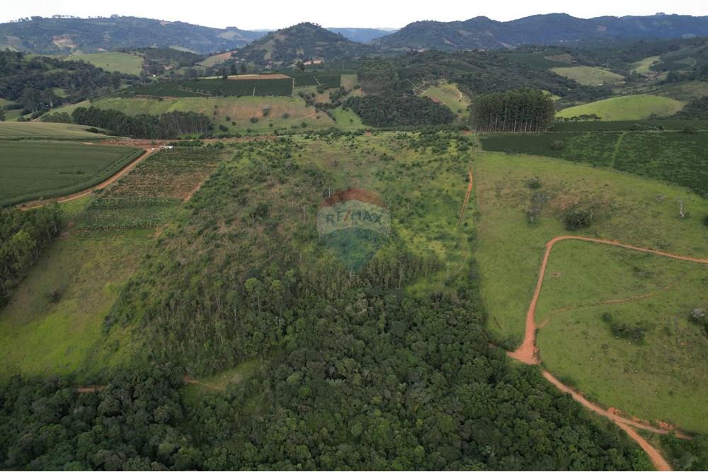 Fazenda - Venda - Bandeira do Sul , Minas Gerais - DJI_0837.JPG - 870361041-103