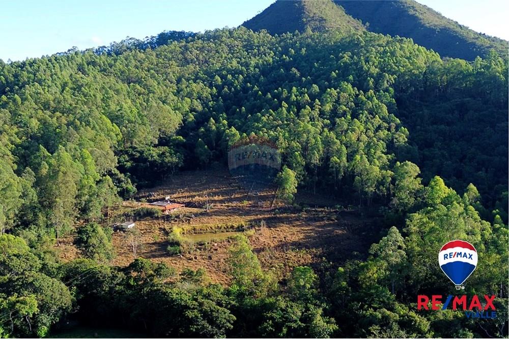 Chácara / Sítio / Fazenda - Venda - São Roque de Minas , Minas Gerais - 86054778-deda-40af-bea0-ac40b3e9a206.jpg - 870731003-7
