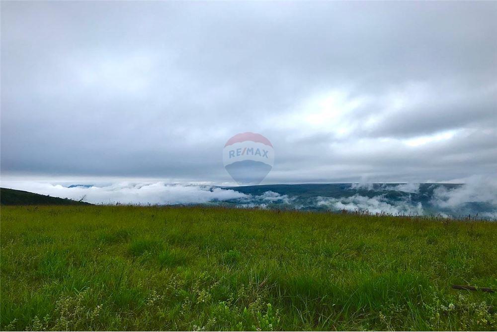 Fazenda - Venda - São Roque de Minas , Minas Gerais - 13 - 870431039-46