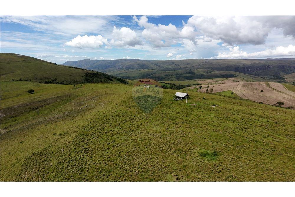 Fazenda - Venda - São Roque de Minas , Minas Gerais - 6 - 870431039-46