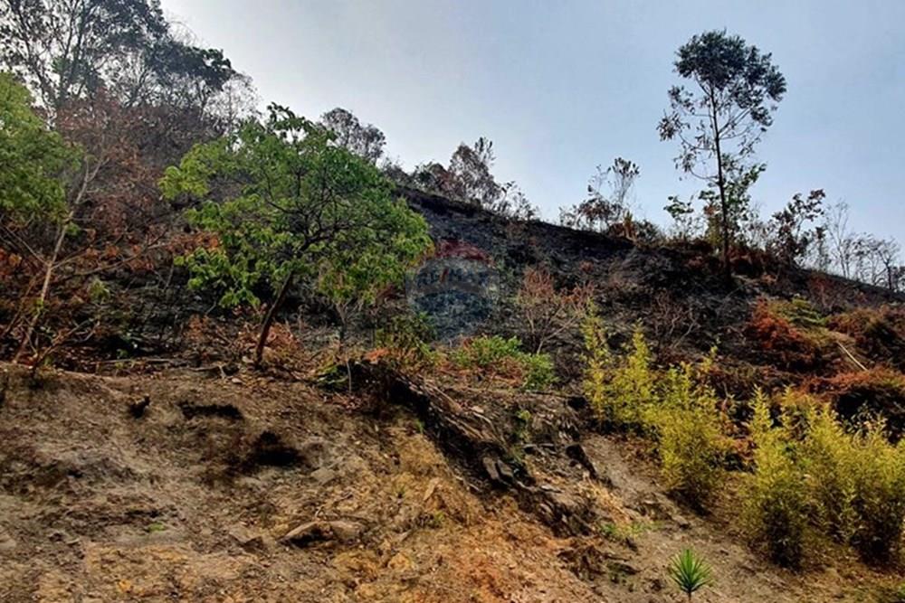 Chácara / Sítio / Fazenda - Venda - Nova Lima , Minas Gerais - Foto Sítio vista da nascente campo do Pires.jpg - 870241097-13
