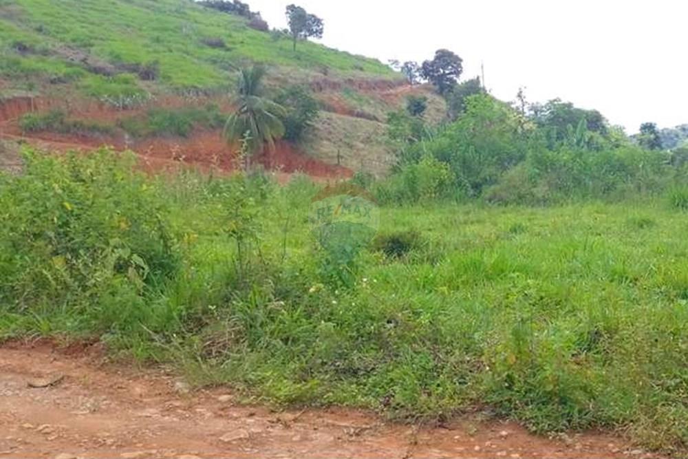 Chácara / Sítio / Fazenda - Venda - Alpercata , Minas Gerais - WhatsApp Image 2024-02-27 at 11.49.06.jpeg - 870671001-154