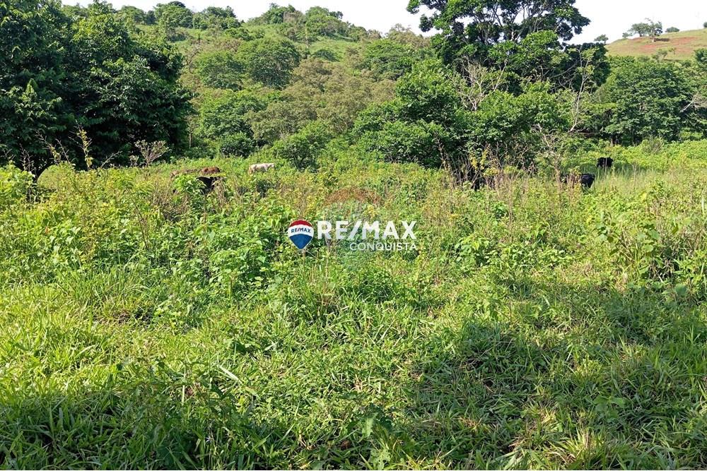 Chácara / Sítio / Fazenda - Venda - Pocrane , Minas Gerais - 3_IMG_20241203_081939_watermark_sex._13122024_135043.jpg - 870451001-114