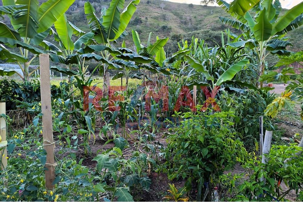 Chácara / Sítio / Fazenda - Venda - Conceição de Ipanema , Minas Gerais - 0_image_0_watermark_seg._01092025_205141.jpg - 870451001-144