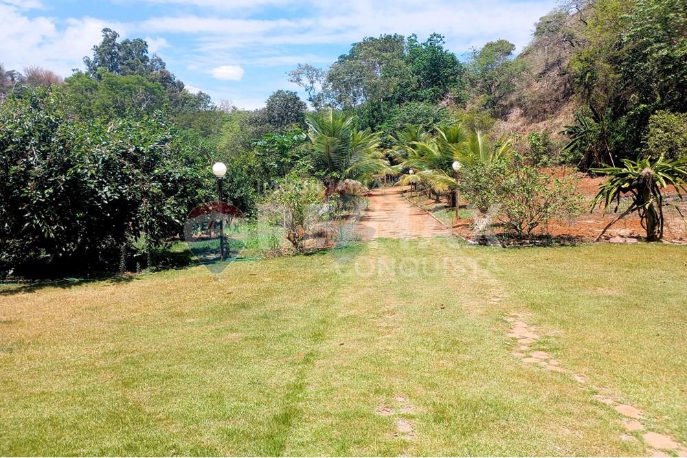 Chácara / Sítio / Fazenda - Venda - Ipanema , Minas Gerais - 0_image_0_watermark_qua._29102025_112133.jpg - 870451004-107