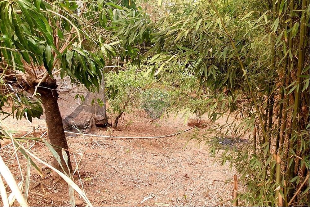 Chácara / Sítio / Fazenda - Venda - Nova Lima , Minas Gerais - Foto Sítio vista da nascente parte de baixo do terreno campo do Pires.jpg - 870241097-13