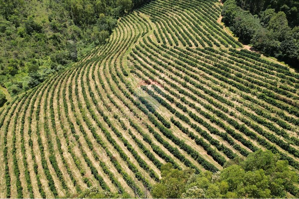 Chácara / Sítio / Fazenda - Venda - São Sebastião da Grama , São Paulo - DJI_0697.JPG - 870361041-98